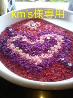 km's様専用のサムネイル