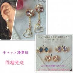 【8】【a】同梱発送分*キャット様専用＊イヤリングのサムネイル