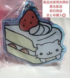 サンエックスユニバース ぷっくりマーカーアクセサリー ショートにゃんこのサムネイル