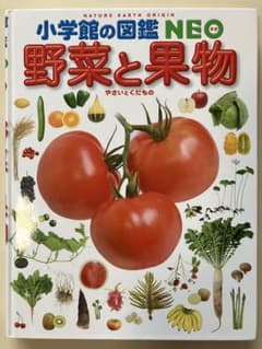 小学館の図鑑 NEO 野菜と果物のサムネイル