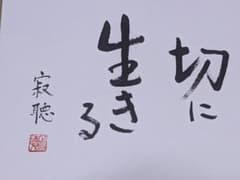 真筆保証】瀬戸内寂聴 直筆色紙「 切に生きる 」 - メルカリ