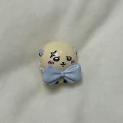 깜짝 달걀 치이카와 리본인 모두 라코