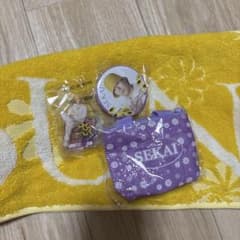 世界 ガチャグッズセットのサムネイル