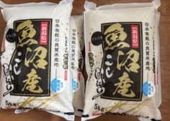 新潟県南魚沼産 コシヒカリ 無洗米 5kg×4袋 20kgのサムネイル