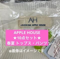 【APPLE HOUSE】おまとめ販売レディース　春夏　トップス　パンツ APPLE HOUSE】10点おまとめ販売レディース 春夏 トップス パンツ