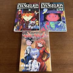 신세기 에반게리온 극장판 THE END OF EVANGELION 3권