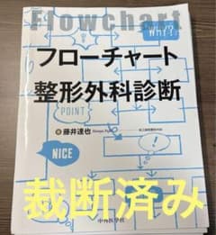 【裁断済】フローチャート整形外科診断のサムネイル
