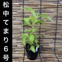 m58901946148_1.jpg?1781580351