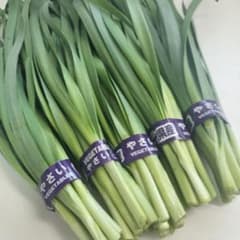 ニラ 1番ニラ 5束 約550g前後 - メルカリ
