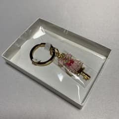 Go!プリンセスプリキュア　キーリング　キュアフローラ Go!プリンセスプリキュア キーリング キュアフローラ - メルカリ