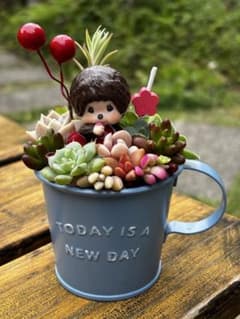 母の日ギフト】多肉植物 寄せ植え＊そのまま飾れるブリキカップ＊感謝