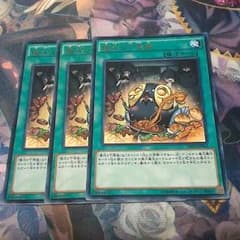 儀式の下準備とリリーサ3枚　ぼんれすはむ様専用のサムネイル