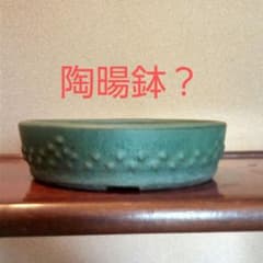 盆栽鉢 丸鉢 鋲打ちのサムネイル