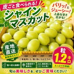 山梨県産　朝採りシャインマスカット　ご家庭用のサムネイル