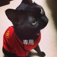 ナルスティン様専用のサムネイル