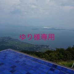 ゆり様専用！トリートドレッシング  ウェディングベール☺︎のサムネイル
