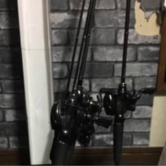 専用 レグルスのサムネイル