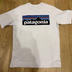 ゆりま様専用Patagoniaの定番バックロゴTシャツのサムネイル