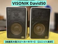 【希少】VISONIK David80 ペアスピーカー VISONIK David50 スピーカーペア② 【鈍器系大型スピーカーキラー
