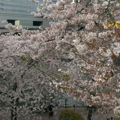 まる様専用鎌田の理論化学のサムネイル