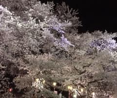 やまさん様専用のサムネイル
