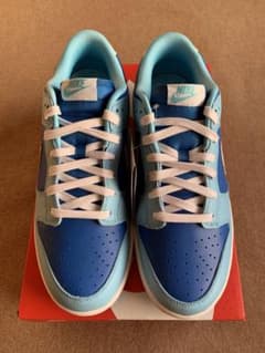 【新品/28.5cm】Nike Dunk Low Retro QS Argonのサムネイル