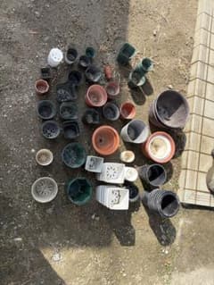 中古　プラ鉢のサムネイル