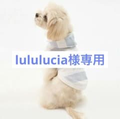 GELATO PIQUE ストライプ犬服 フード付き Mサイズのサムネイル