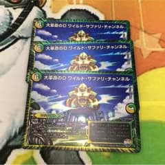 ワイルドサファリチャンネル 3枚セットのサムネイル