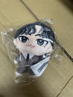 ソイングク　FC公式　ちびぬいキーホルダー　seoinguk　新品未開封 ソ・イングク SIGNAL ちびぬいキーホルダー 275126528 - メルカリ