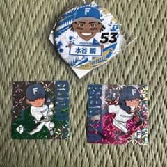 北海道日本ハムファイターズ 水谷瞬 郡司裕也 磯端亮太 グッズセット