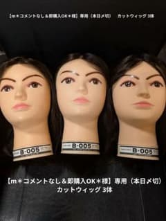 美容師国家試験カットウィッグ 3体セット B-005 - メルカリ