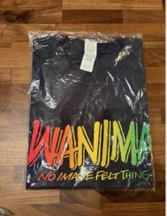 WANIMA 長袖Tシャツ ブラック Lサイズのサムネイル