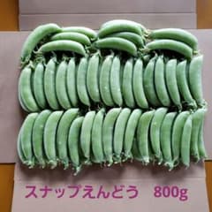 新鮮 スナップエンドウ 産地直送 野菜　ネコポス　800gのサムネイル