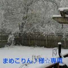 ☆まめこりん♪様☆専用ページですのサムネイル