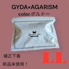 新品AGARISM x GYDA UP+Me Styling Bra LLのサムネイル