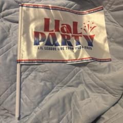 LIL LEAGUE LIL PARTY 플래그 2024-2025