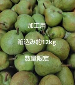 摘果　ラ・フランス　加工用　箱込み約12kgのサムネイル
