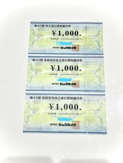 ビックカメラ　株主優待　お買物優待券のサムネイル