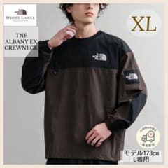 韓国限定】アルバニークルーネック ブラウン 黒 ロンT ノースフェイス