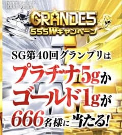 ボートレースground5 555w 景品　プラチナ5g入りのサムネイル
