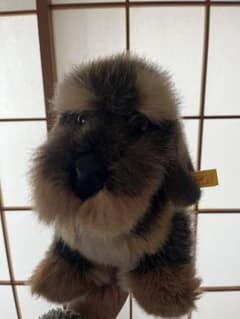 シュタイフ ダックスフンド Raudi ラウディ 1991から1994年発売 犬