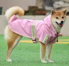 プラダ　ペットレインコート　レア　限定品　ピンク フロントタック.レインコート: エクリュ | USHH_Italiangreyhound