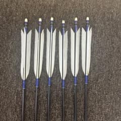 アルミ矢 七面鳥 6本組 弓具 弓道 EASTON XX75 2014 - メルカリ