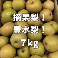 【石川県産】豊水梨の 摘果梨 7kg 加工用｜のサムネイル