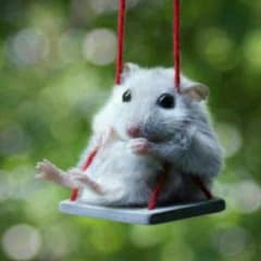 ノンノン様専用のサムネイル