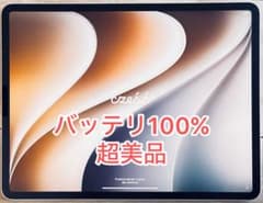【バッテリー残量100%】iPad Pro 第4世代　Wi-Fiモデル128GB 超美品バッテリ100% iPadPro 第4世代128GB Wi-Fiモデル - メルカリ
