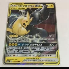 ピカチュウ&ゼクロムのサムネイル