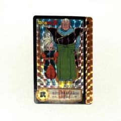 極美品】ドラゴンボールZ ホロカード シン & キビト 36 - メルカリ