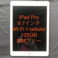iPad Pro 9.7インチ Wi-Fi＋cellular 125GBのサムネイル
